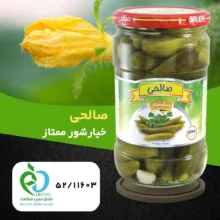 خیارشور سرکهای پاستوریزه ممتاز صالحی - 650 گرم مجموعه 12 عددی