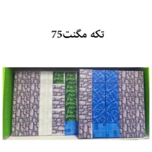 ساختنی 75 تکه مدل مگنتی طرح ماینکرافتی اولاف کد CTT-697