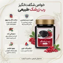 رب زرشک سنتی جالینوس - ۴۵۰ گرم