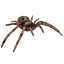فیگور ناب سل مدل رتیل کد TARANTULA NAAB007 ارتفاع 4 سانتی‌متر