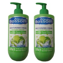 کرم آبرسان انشوربوسوم مدل aloe vera حجم 500 میلی لیتر مجموعه 2 عددی