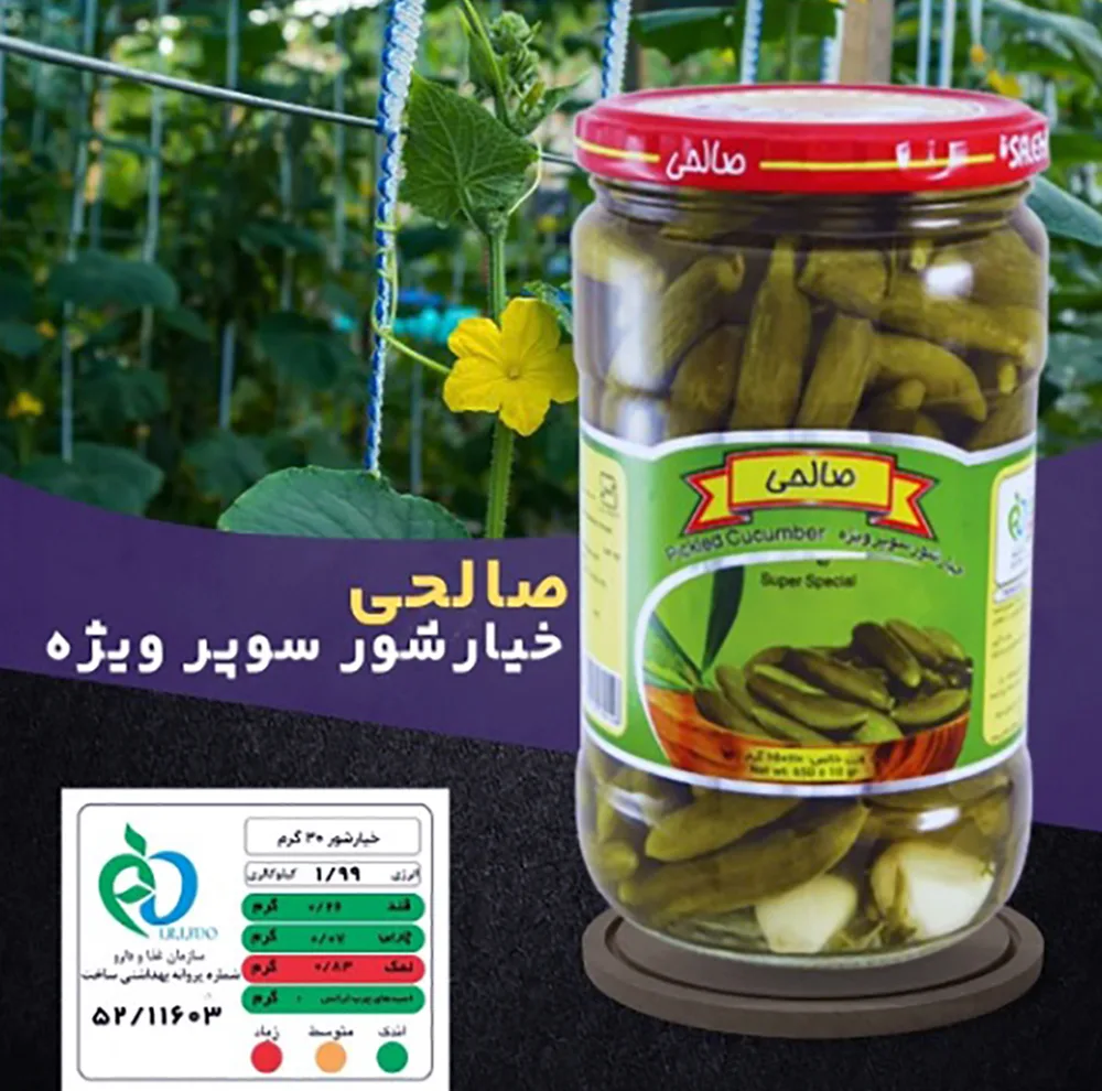 خیارشور ریز پاستوریزه صالحی - 650 گرم مجموعه 2 عددی