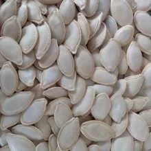 تخمه کدو درشت خام کالاکو - 1 کیلوگرم