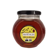 عسل طبیعی چند گیاه ویژه – 450 گرم