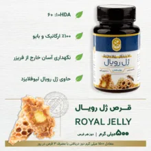 قرص ژل رویال طبیعی فروردین بسته 60 عددی