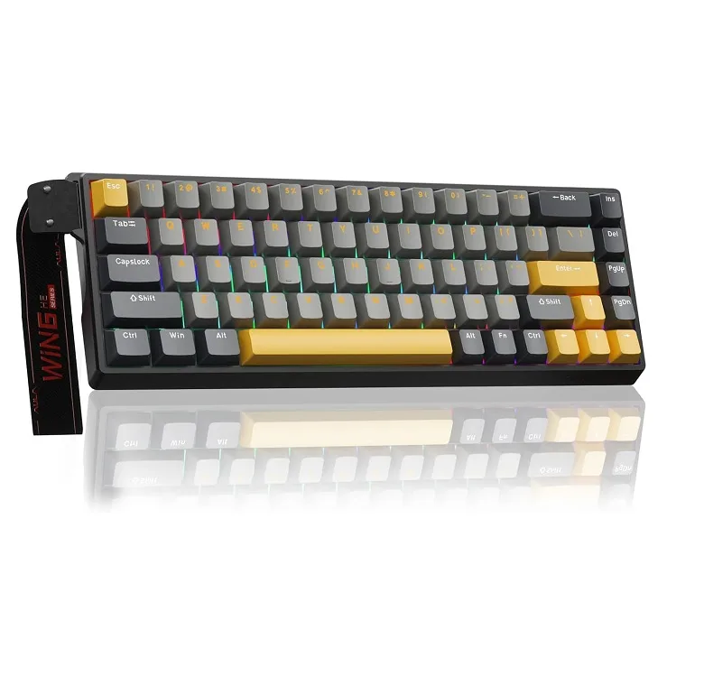کیبورد باسیم آئولا مدل WIN68 HE MAX Magnetic