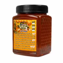 عسل طبیعی گون – 500 گرم