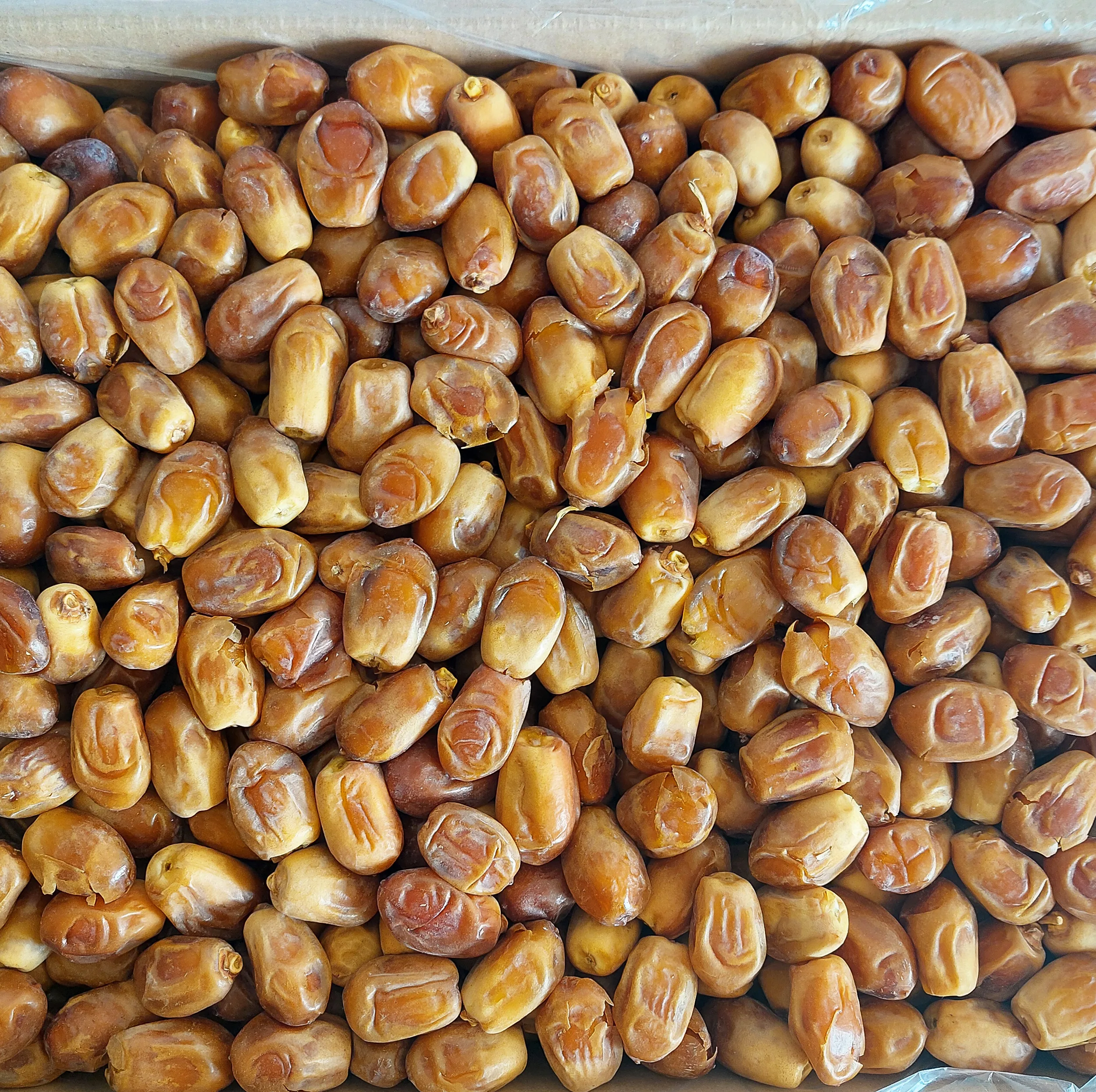 خرمای زاهدی مجلسی - 10000 گرم
