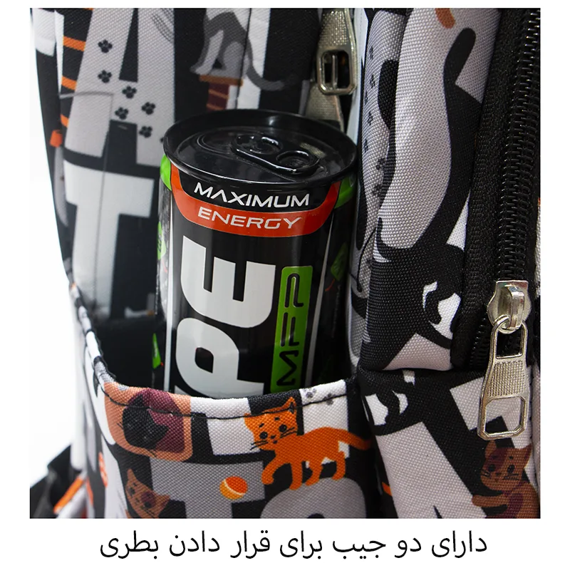 کوله پشتی پسرانه توریث مدل WW-150003