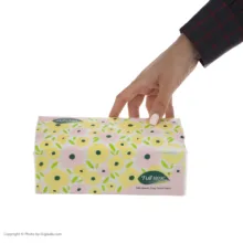 دستمال کاغذی 250 برگ دو لایه فول تایم مدل سافت پک اسپرینگ