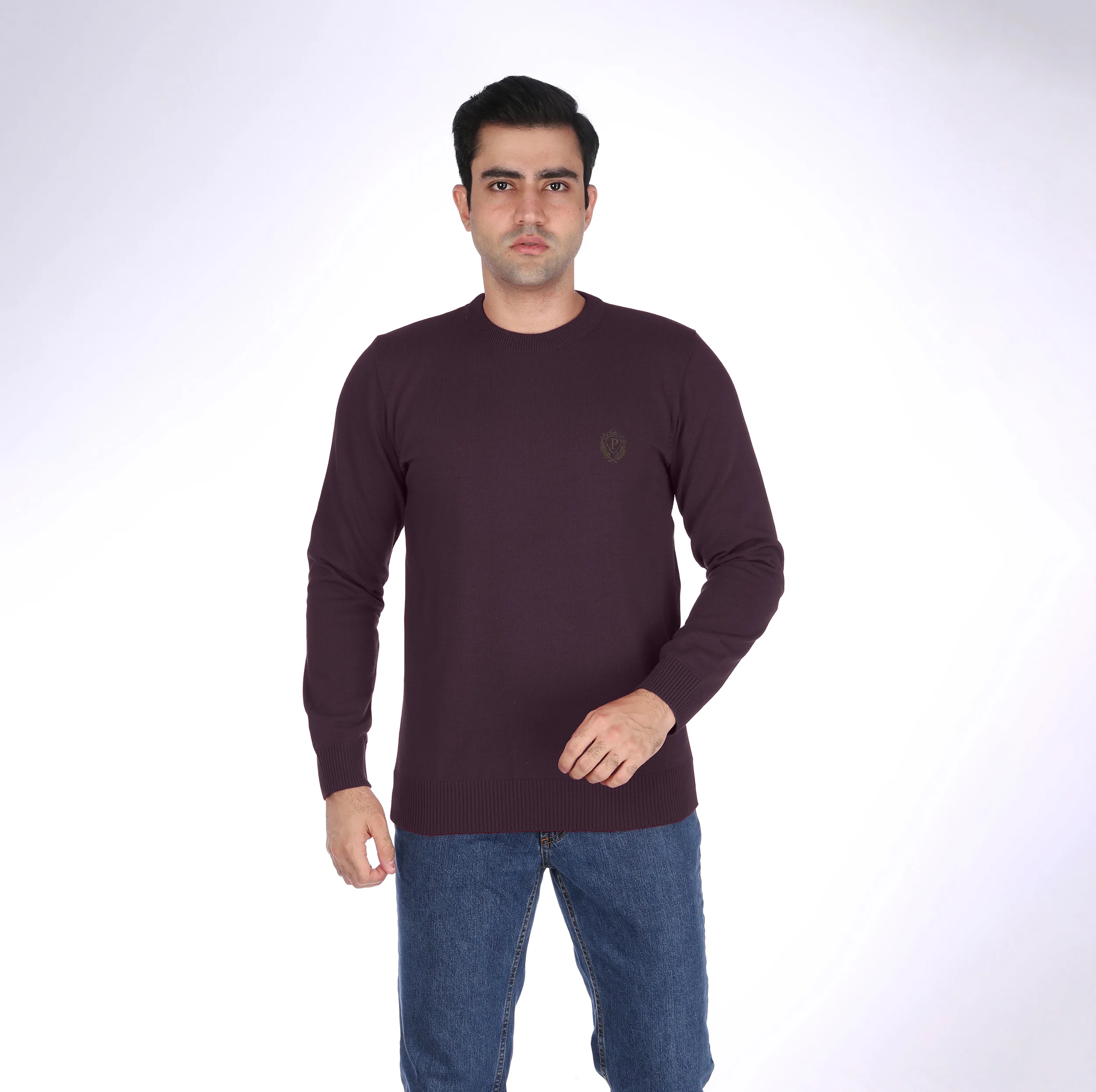 پلیور مردانه تریکو پاییزان مدل PR700