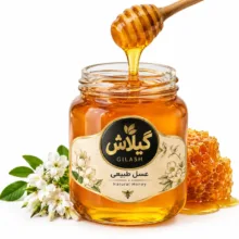 عسل طبیعی موم دار گیلان گیلاش - 500 گرم