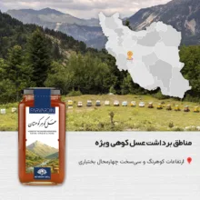 عسل طبیعی چهل گیاه کوهستان فروردین - 650 گرم