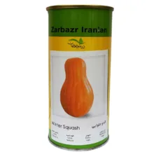 بذر کدو حلوایی زر بذر ایرانیان کد GH100g-54