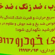 آب رادیاتور خودرو شیمی خودرو مدل 9117 حجم 3000 میلی لیتر