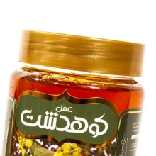عسل کنار کوهدشت-600 گرم