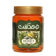 عسل کنار کوهدشت-600 گرم