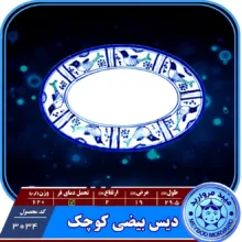 ديس چيني ميبدمرواريد مدل مرغي ساده کدK