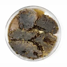 عسل طبیعی مومدار وحشی مغیطی - 1500 گرم