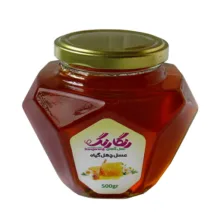 عسل گلهای رنگارنگ – 500 گرم