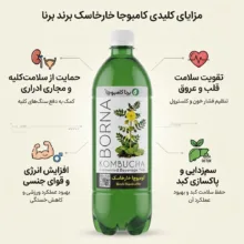 شربت خارخاسک برنا کامبوجا - 1 لیتر