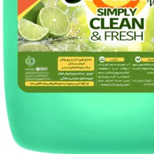 مایع ظرفشویی اورینتال مدل کریستال درخشان وزن 10 کیلوگرم