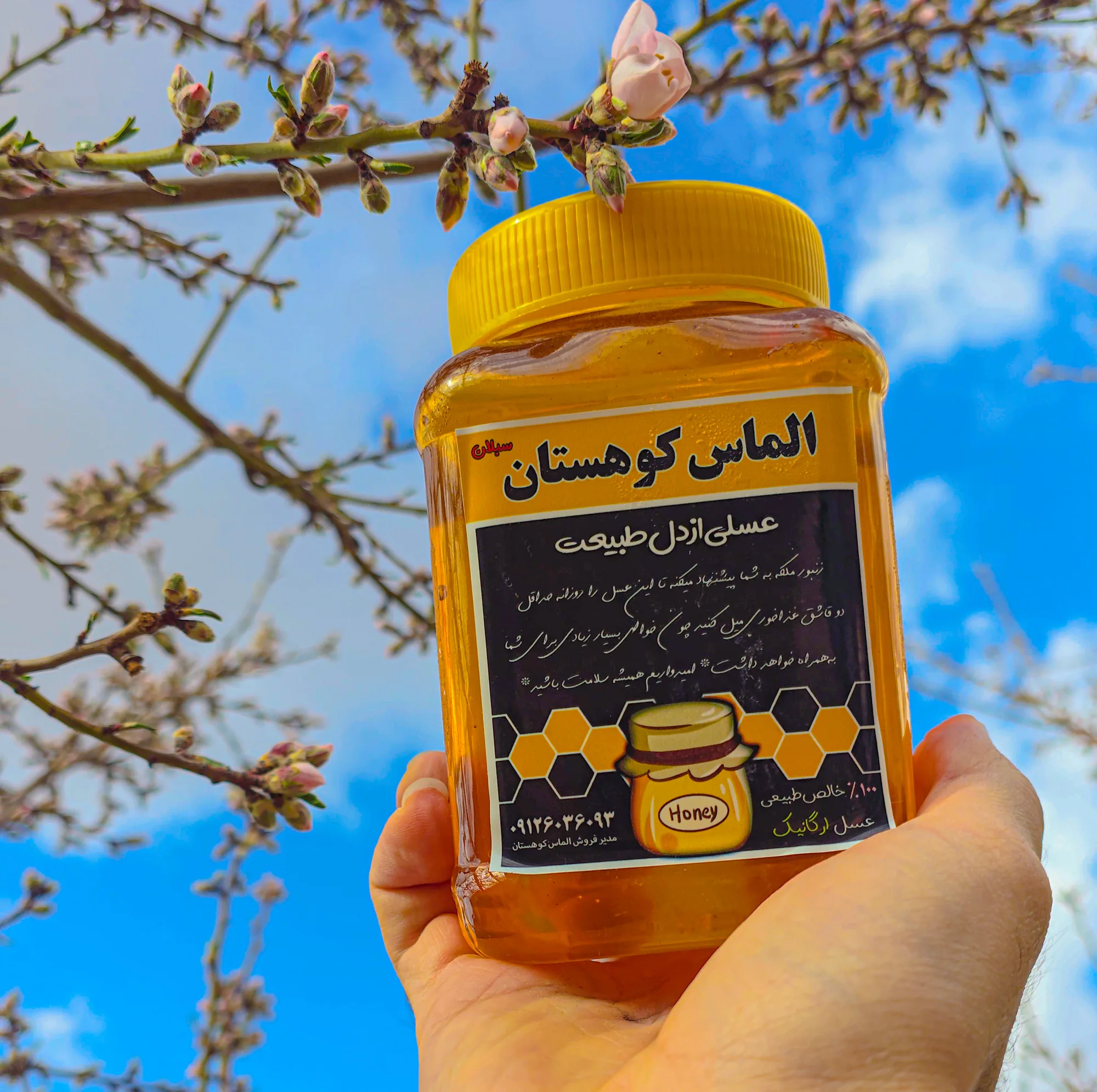 عسل طبیعی سبلان گون گز خام الماس کوهستان - 1 کیلوگرم