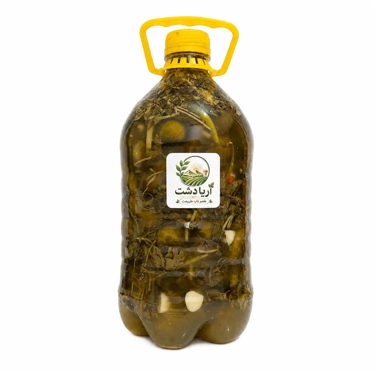 خیارشور آریا دشت بطری وزن ۳۵۰۰ گرم