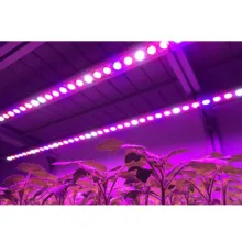 وال واشر ال ای دی رشد گیاه 24 وات مدل BS-24