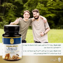 قرص ژل رویال طبیعی فروردین بسته 60 عددی