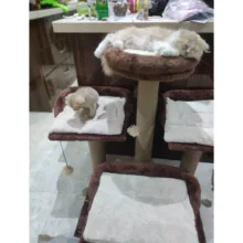 اسکرچرگربه آدریانا پت مدل پرتقال