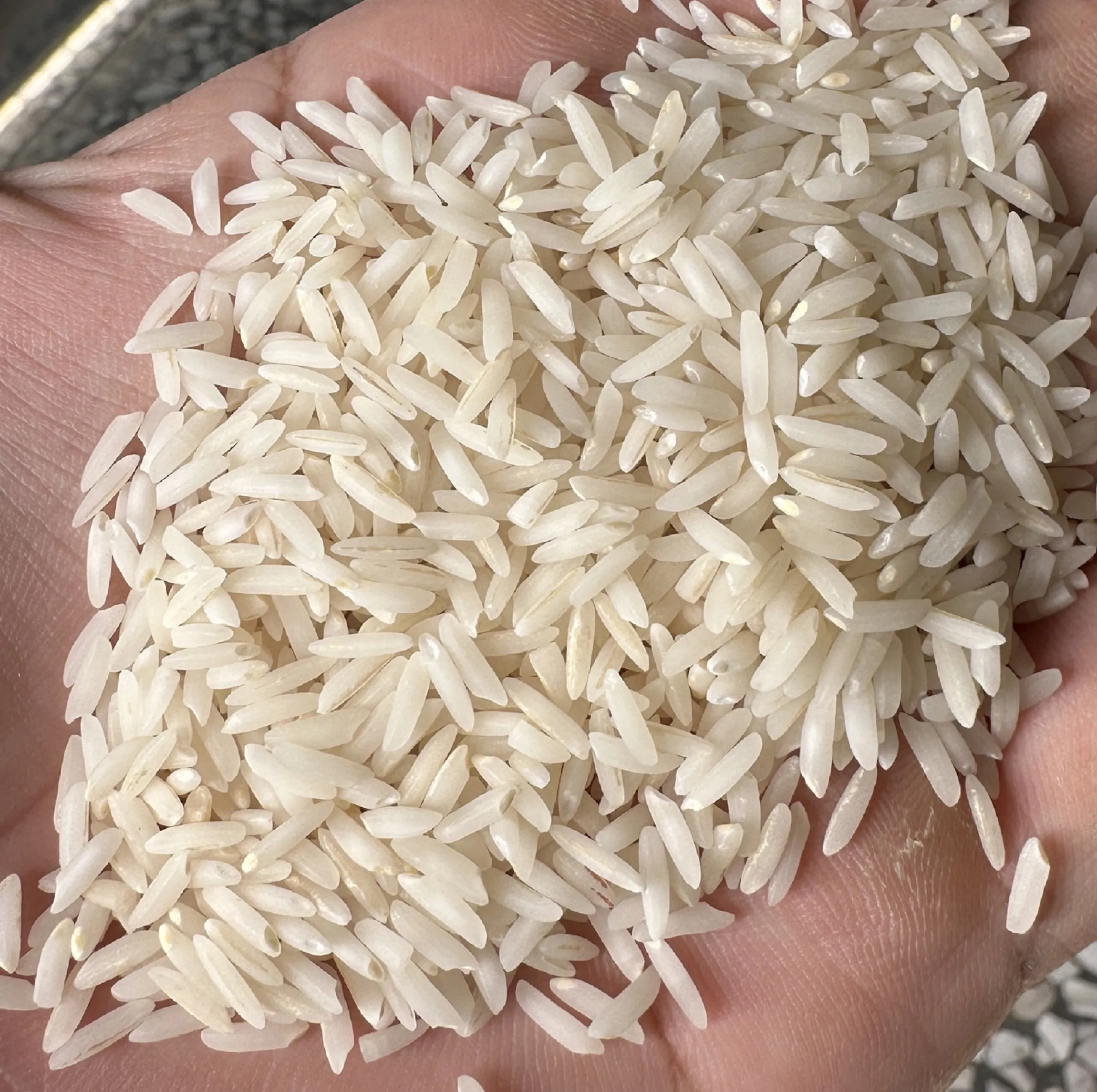 برنج شیرودی زرین خوشه طبرستان - 10 کیلوگرم