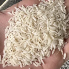 برنج طارم هاشمی کشت اول زرین خوشه طبرستان - 10 کیلوگرم
