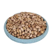پسته کله قوچی درجه یک - 500 گرم