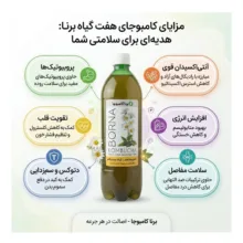 شربت هفت گیاه برنا کامبوجا - ۱ لیتر