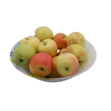کاسه پاشاباغچه مدل SPRING BOWL 10415