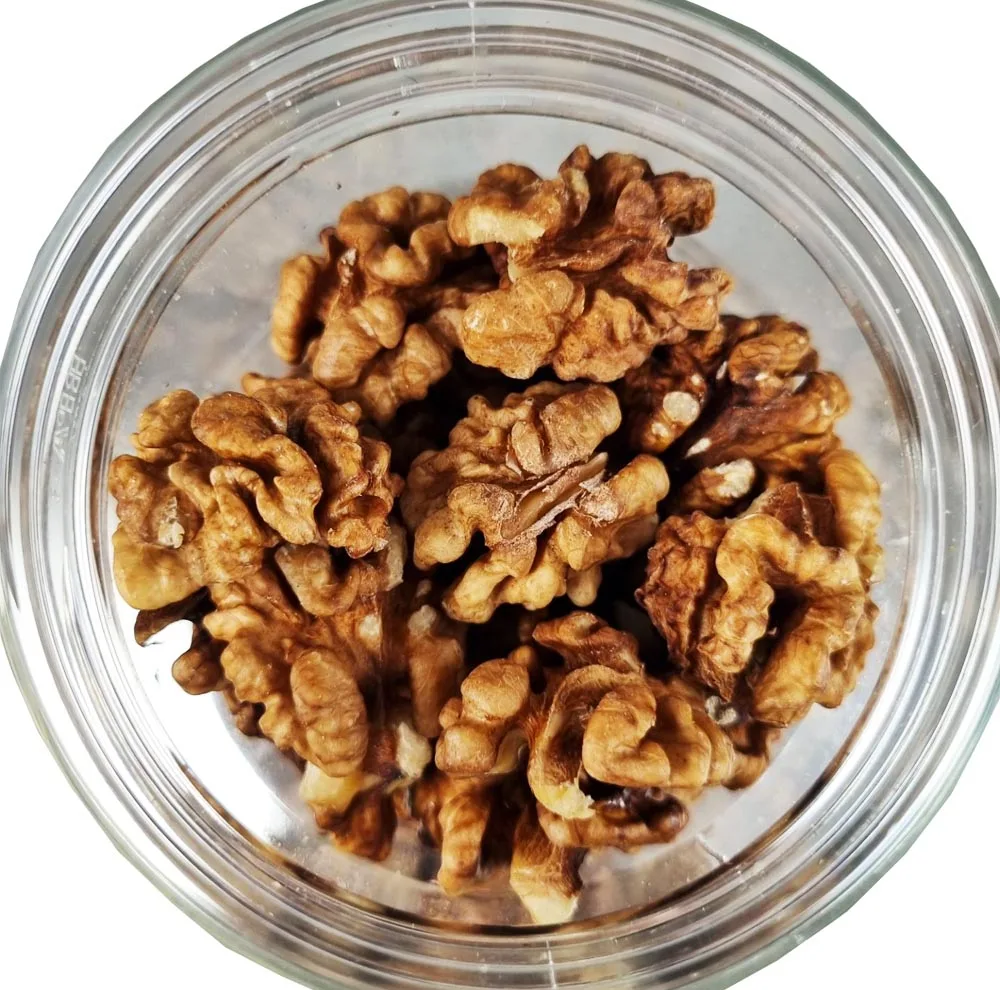 مغز گردو ارگانیک تویسرکان طعم خونه - 500 گرم