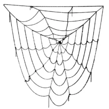 شبکه تار عنکبوت اسباب بازی مدل Black Window Giant Spider Web 7 Feet