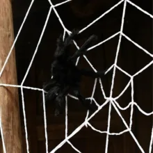 شبکه تار عنکبوت اسباب بازی مدل Black Window Giant Spider Web 7 Feet