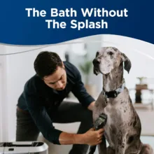 فرش شوی و مبل شوی بیسل مدل BARKBATH2-3114E