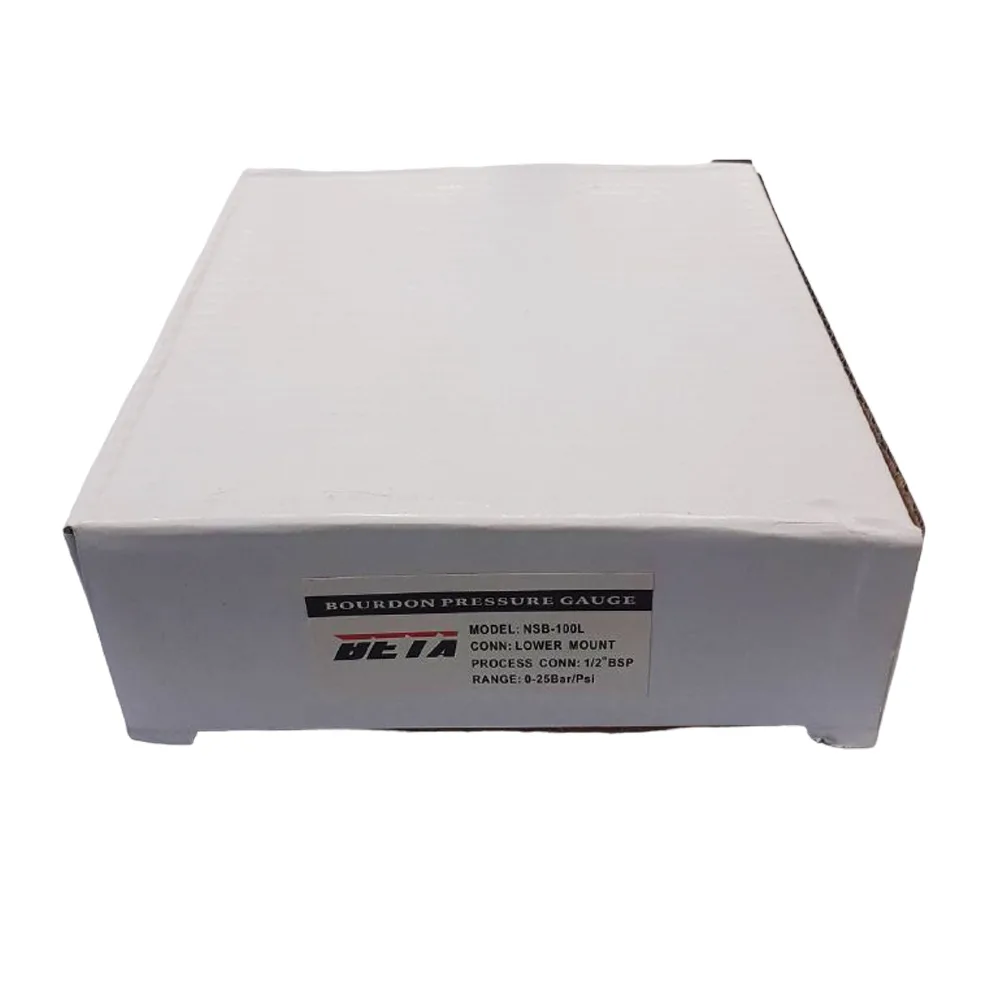گیج فشار بتا مدل 25bar-10cm-L
