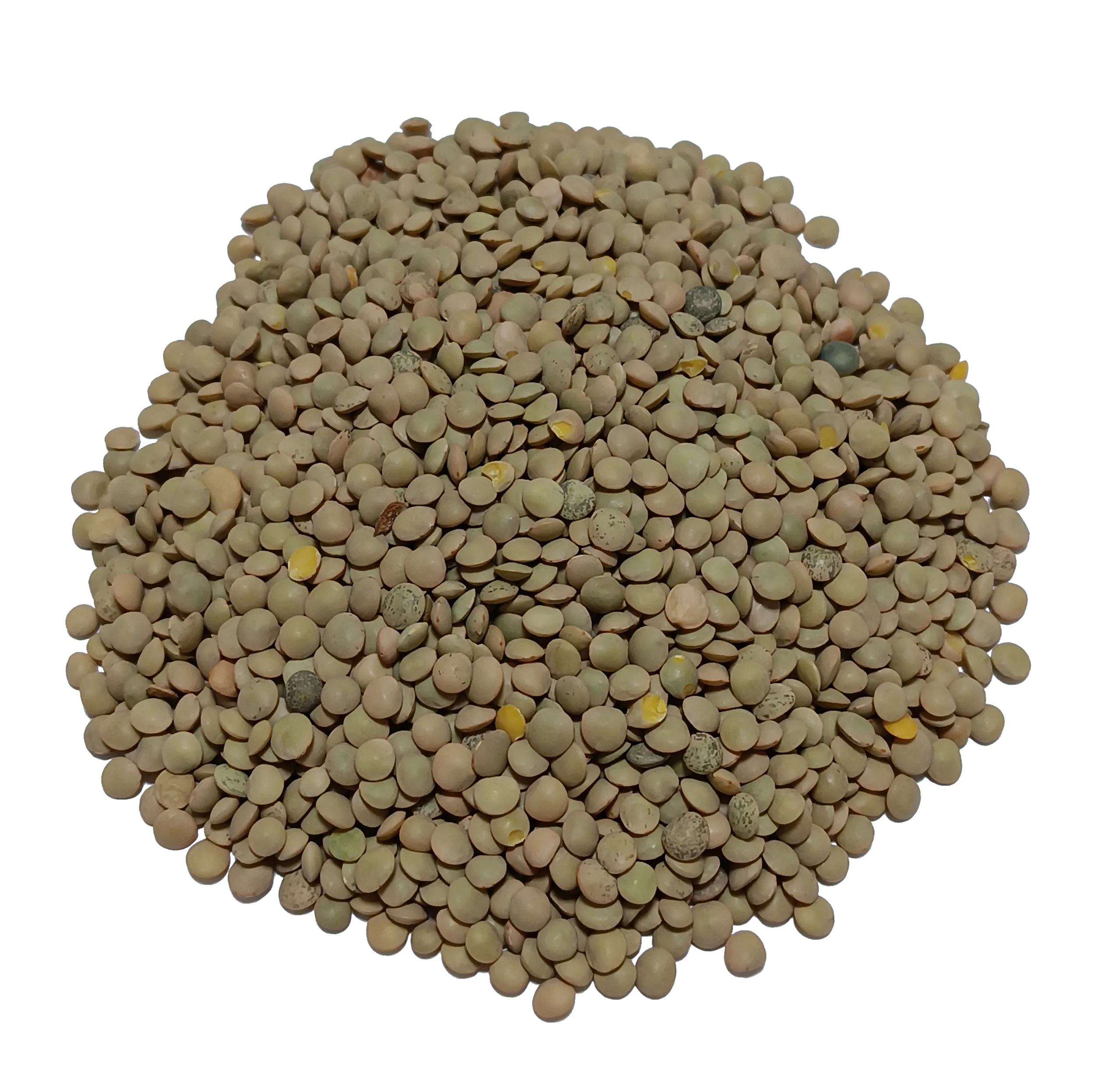عدس درجه یک مخصوص شاد - 1500 گرم