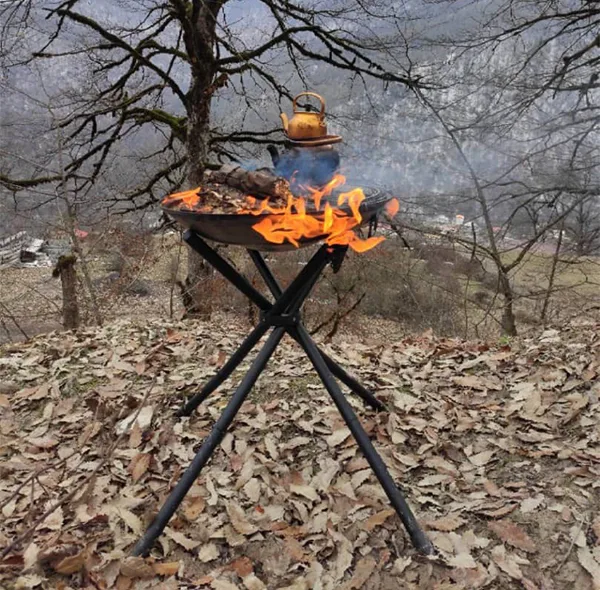 باربیکیو پارمیس مدل BBQ 412