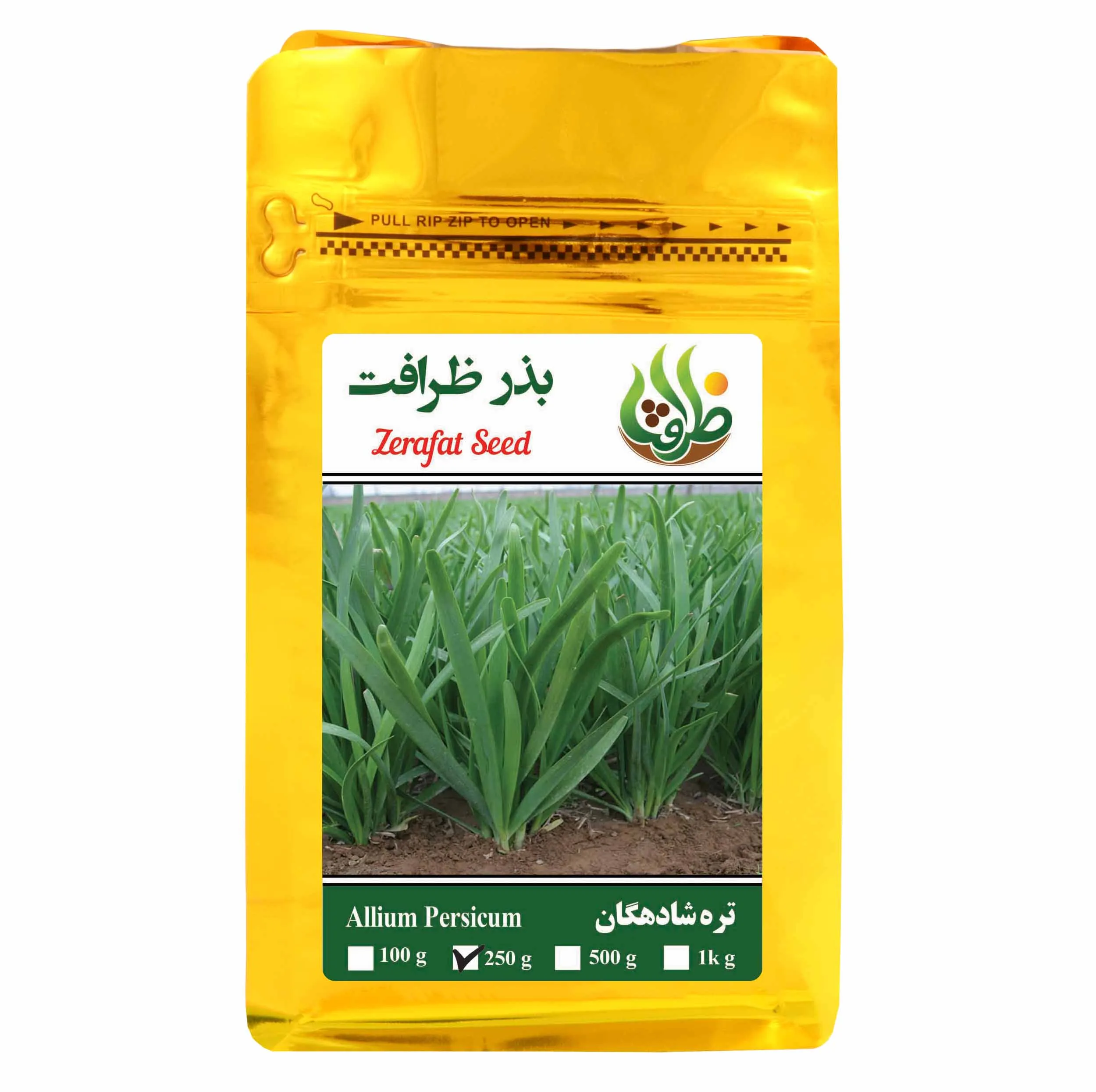 بذر تره شادهگان ظرافت مدل BZ4482