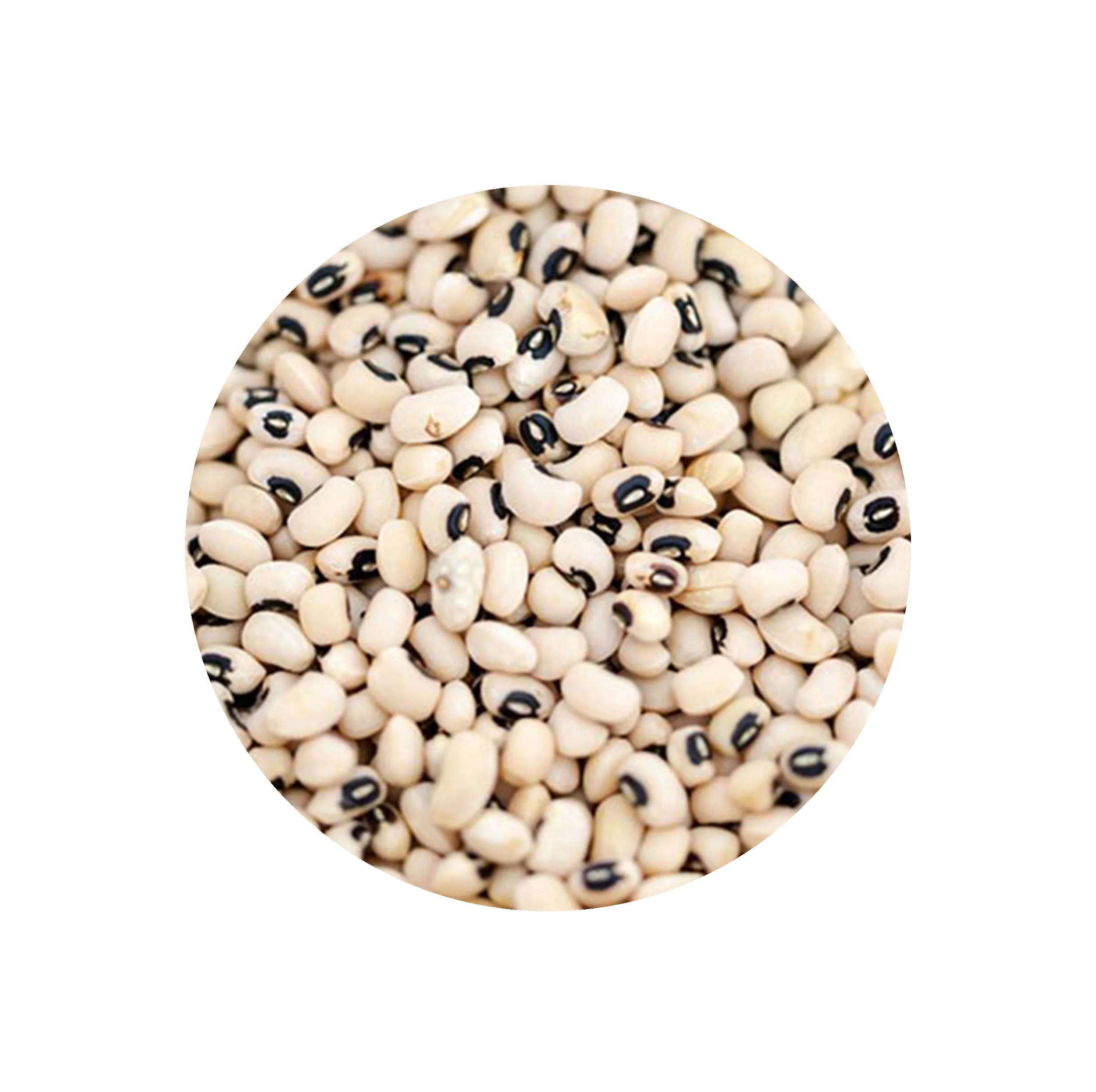 لوبیا چشم بلبلی دستچین کالا - 1200 گرم