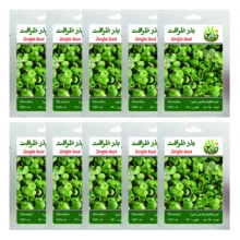 بذر چمن دایکوندرا ظرافت مدل BZ18069 بسته 10 عددی