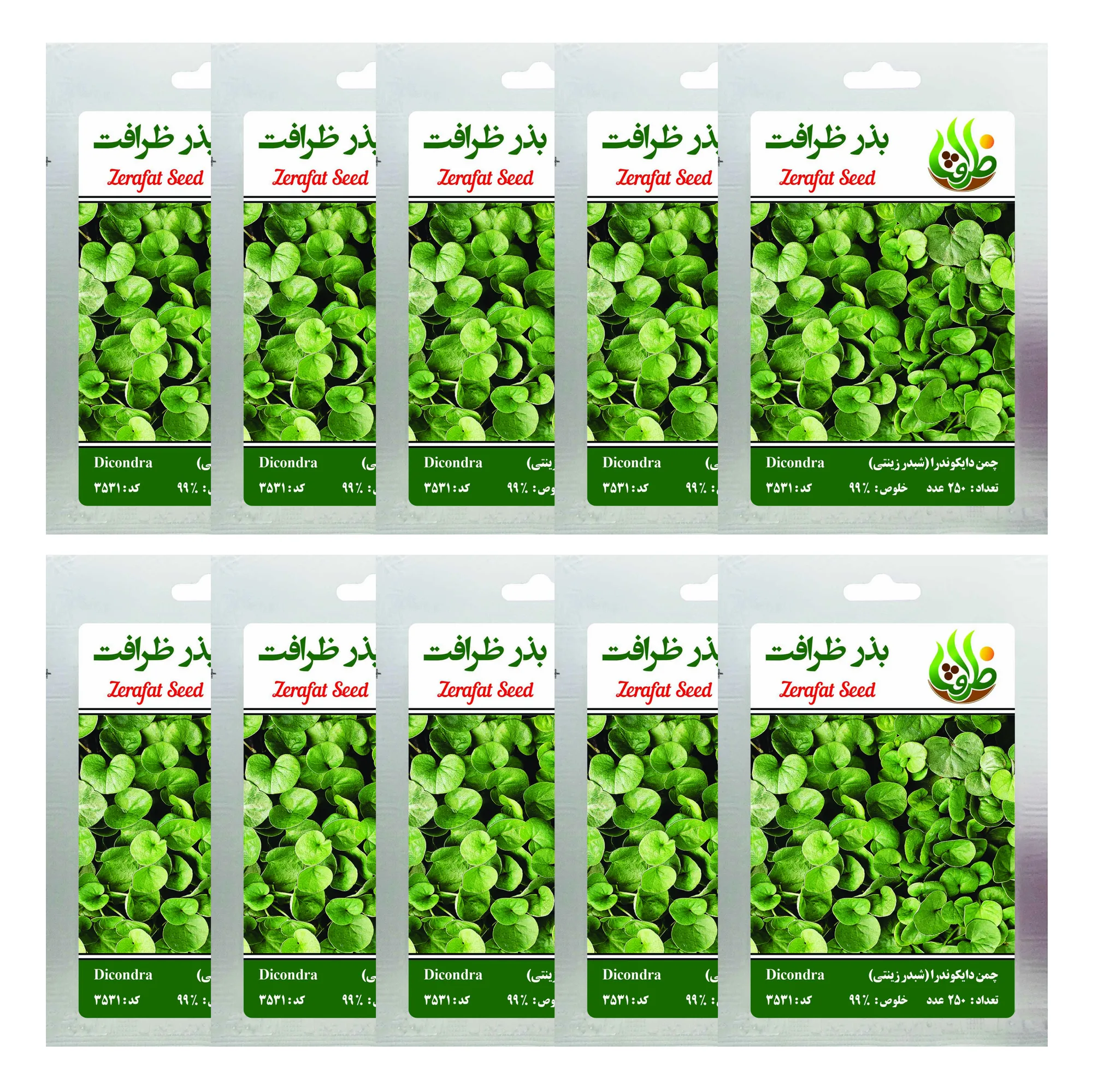 بذر چمن دایکوندرا ظرافت مدل BZ18069 بسته 10 عددی