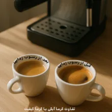 جرم گیر دستگاه اسپرسو مدل نِت پرسو مدل دو قلو TwinClean 2X بسته سه عددی