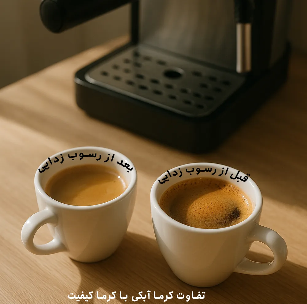 جرم گیر دستگاه اسپرسو مدل نِت پرسو مدل دو قلو TwinClean 2X بسته سه عددی