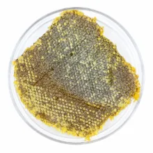 عسل طبیعی مومدار چنبره - 1500 گرم